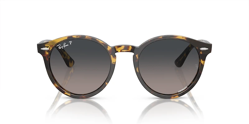 Larry Polarized+ Lenses