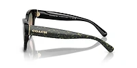 CL920