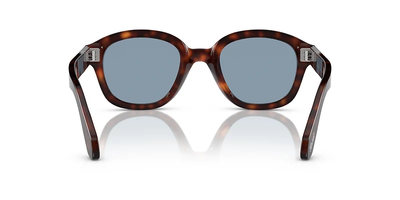 PO0060S