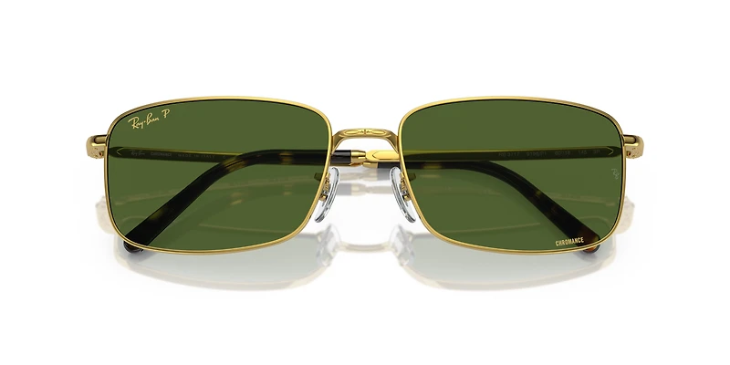 RB3717 Polarized+ Lenses