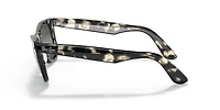 Original Wayfarer Polarized+ Lenses
