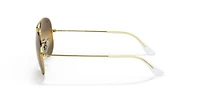 Aviator Polarized+ Lenses