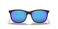 RB4330 Polarized+ Lenses