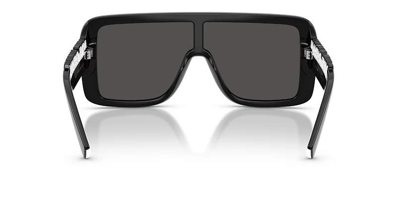 DG6204