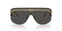 DG2320