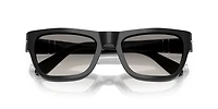 PO0091S