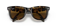 Wayfarer Folding Classic