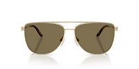 RL7096