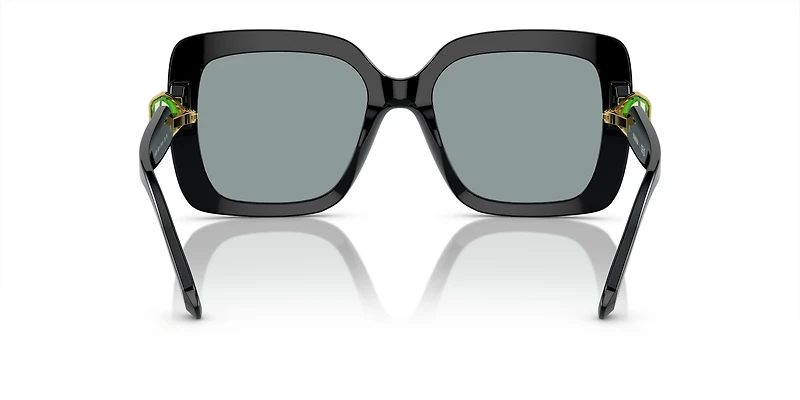 SK6001