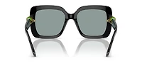 SK6001