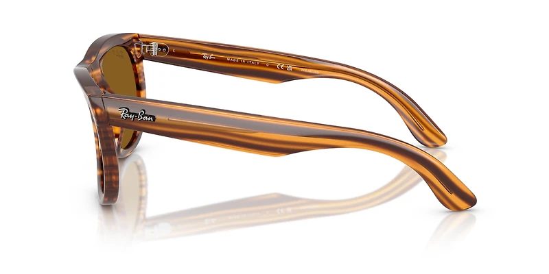 Wayfarer Reverse