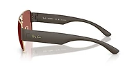 RB3756 Polarized+ Lenses