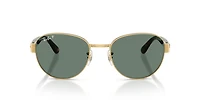 RB3766 Polarized+ Lenses