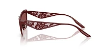 DG2311