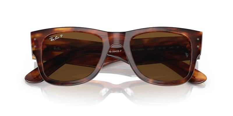 Mega Wayfarer