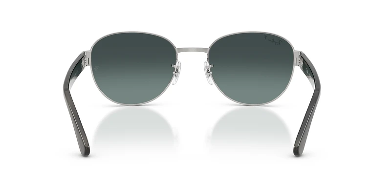 RB3766 Polarized+ Lenses