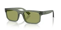 AX4165S