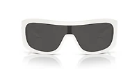 DG4454