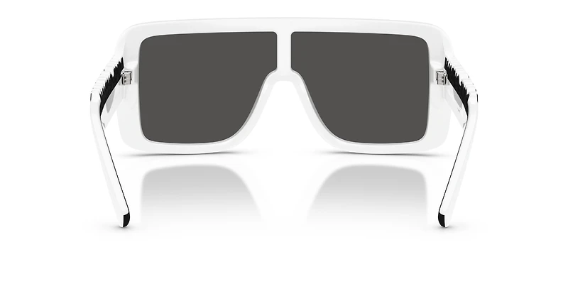 DG6204