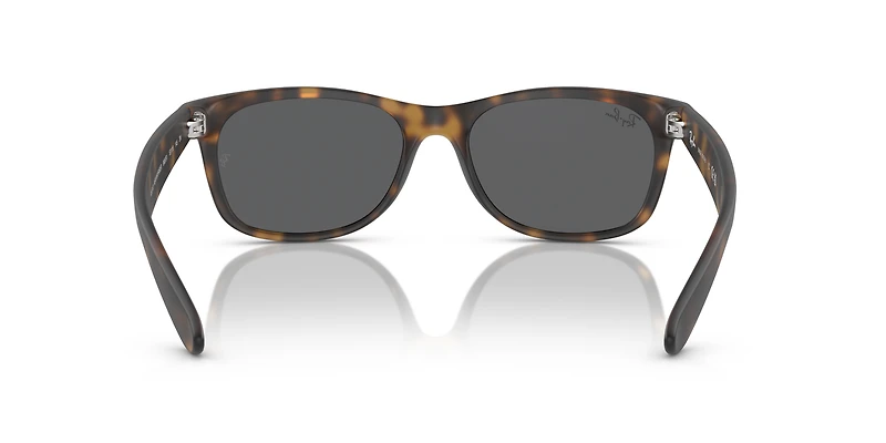New Wayfarer Classic