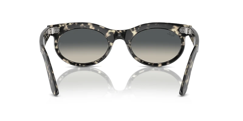 Wayfarer Oval