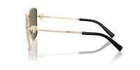 TF3102B