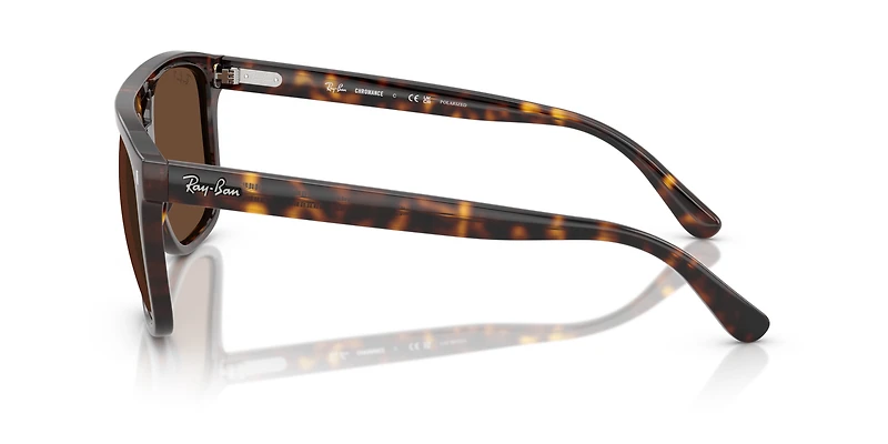 RB2213 Polarized+ Lenses