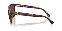 RB2213 Polarized+ Lenses