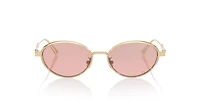 Diorcannage CD40209U