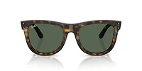 Wayfarer Reverse