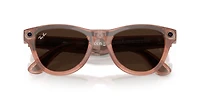 Ray-Ban Meta Skyler