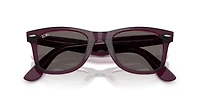 Original Wayfarer Classic