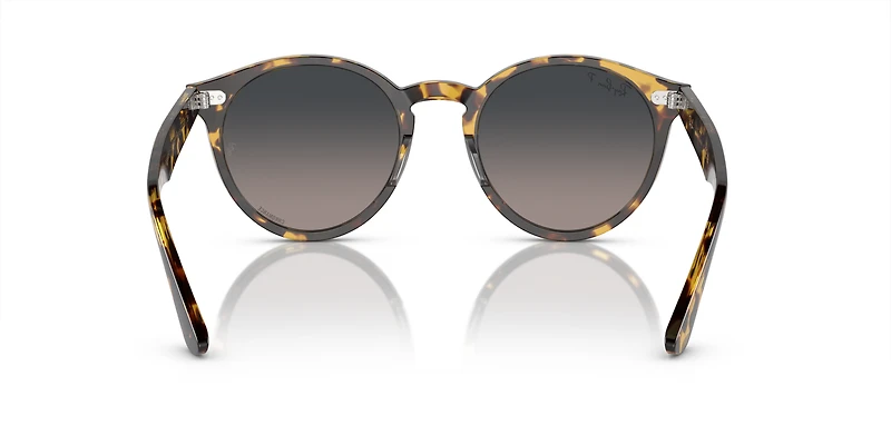 Larry Polarized+ Lenses