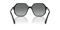 SK6003