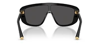 DG4520