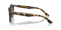 Larry Polarized+ Lenses