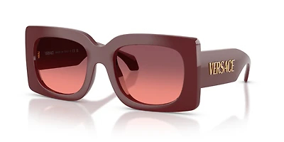 VE4496U