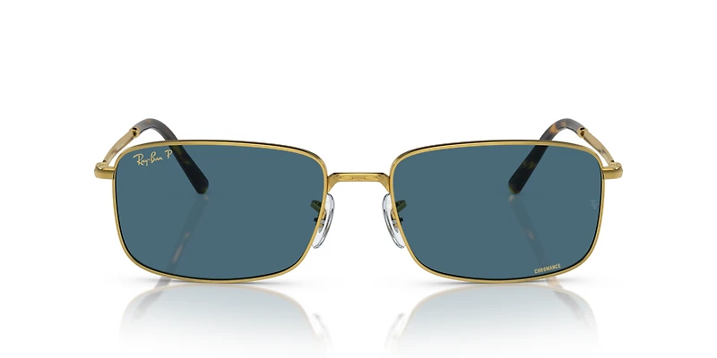 RB3717 Polarized+ Lenses