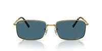 RB3717 Polarized+ Lenses