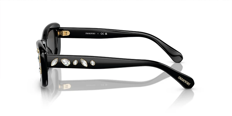SK6008