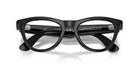 Ray-Ban Meta Skyler