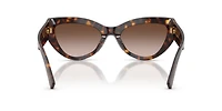 DG4536