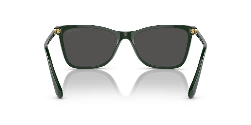 SK6004