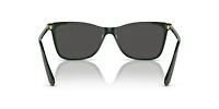 SK6004