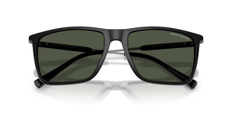 AX4160S