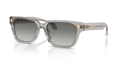 VE4513D