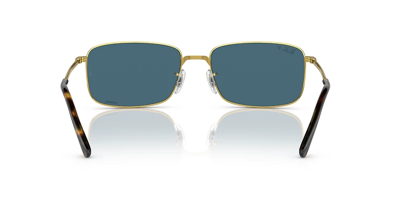 RB3717 Polarized+ Lenses