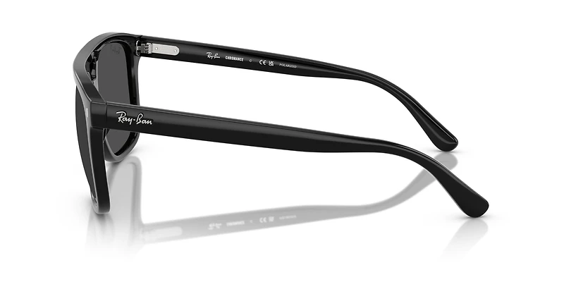 RB2213 Polarized+ Lenses