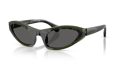 A05513