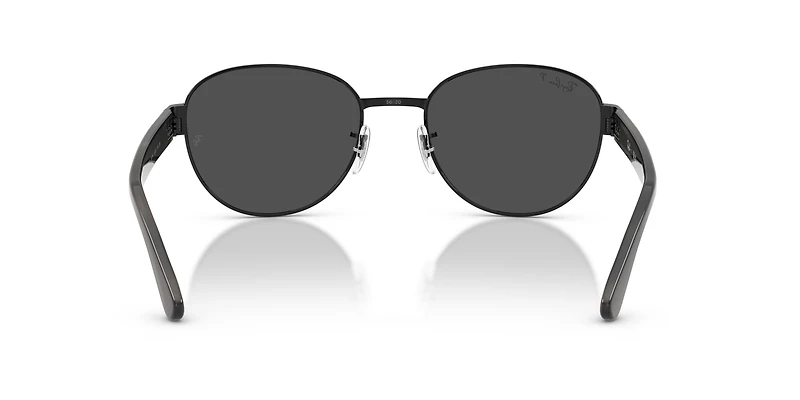 RB3766 Polarized+ Lenses